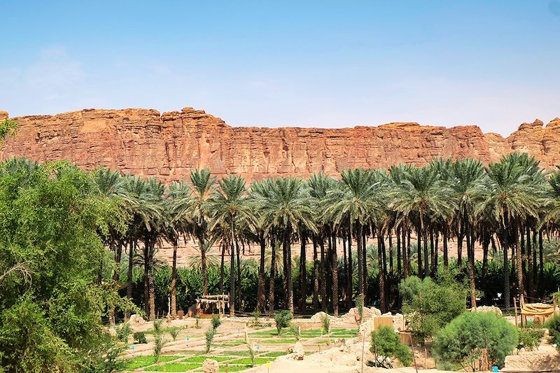 Oasis d'Al-'Ula - Arabie Saoudite