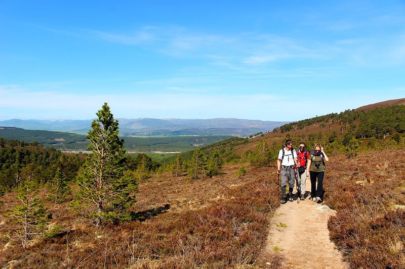 Parc National de Cairngorms - Highlands - Écosse