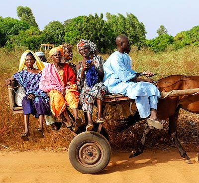 Circuits en petit groupe Sénégal