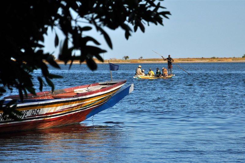Siné-Saloum - Sénégal