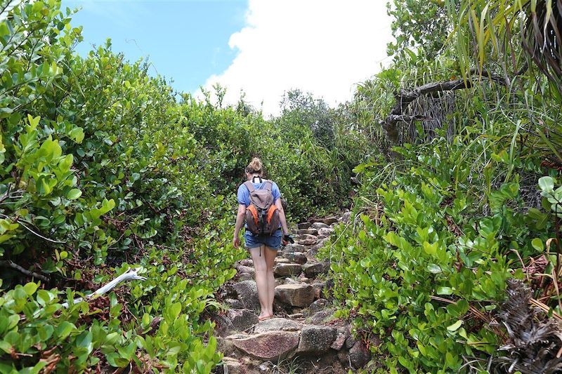 Randonnée sur l'île de Curieuse - Seychelles