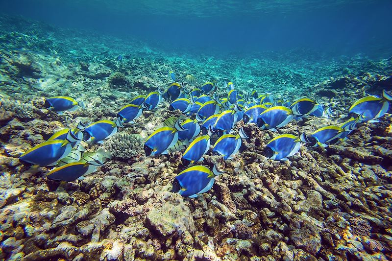 Une découverte des Seychelles en famille sur les îles de Mahé, Praslin et La Digue avec séjour en appartements tout équipés