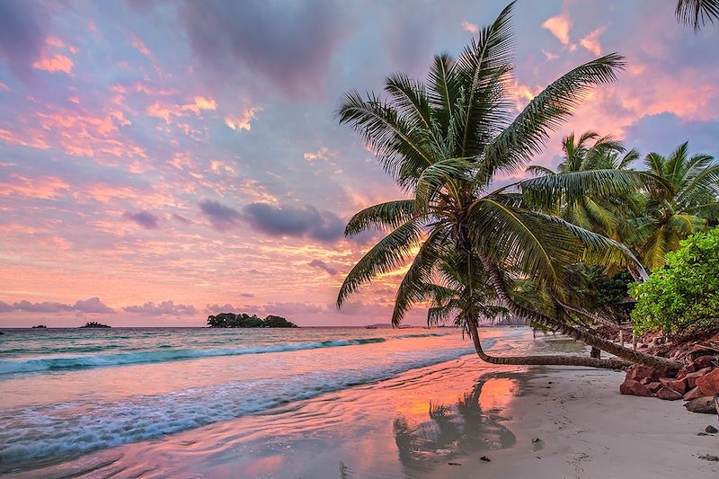 Découverte des Seychelles à votre rythme : Praslin et la Vallée de Mai, Curieuse et les tortues géantes, îlot Saint-Pierre et Coco