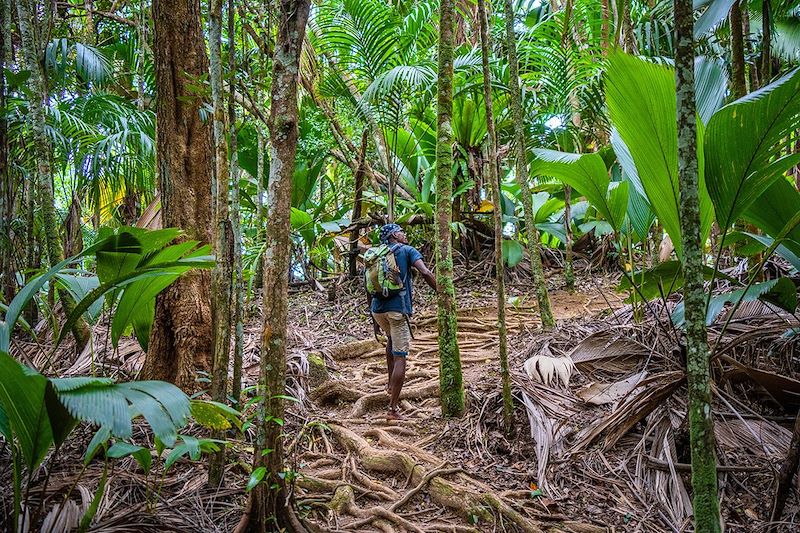 Découverte des Seychelles à votre rythme : Praslin et la Vallée de Mai, Curieuse et les tortues géantes, îlot Saint-Pierre et Coco