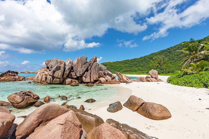 Découverte des Seychelles à votre rythme : Praslin et la Vallée de Mai, Curieuse et les tortues géantes, îlot Saint-Pierre et Coco