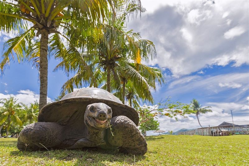 Découverte de Mahé, la Digue, Praslin, île de Curieuse au gré du vent avec balades, snorkeling, kayak dans le lagon et vélo !