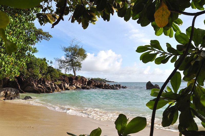 Découverte de Mahé, la Digue, Praslin, île de Curieuse au gré du vent avec balades, snorkeling, kayak dans le lagon et vélo !