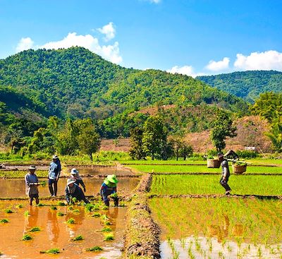 voyage Thaïlande