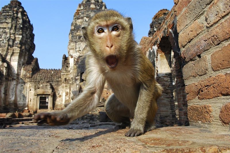 Aventure thaï en randonnée et en raft à Umphang, à vélo à Sukhothai et Ayutthaya et en tong sur les plages tranquilles à Samet 