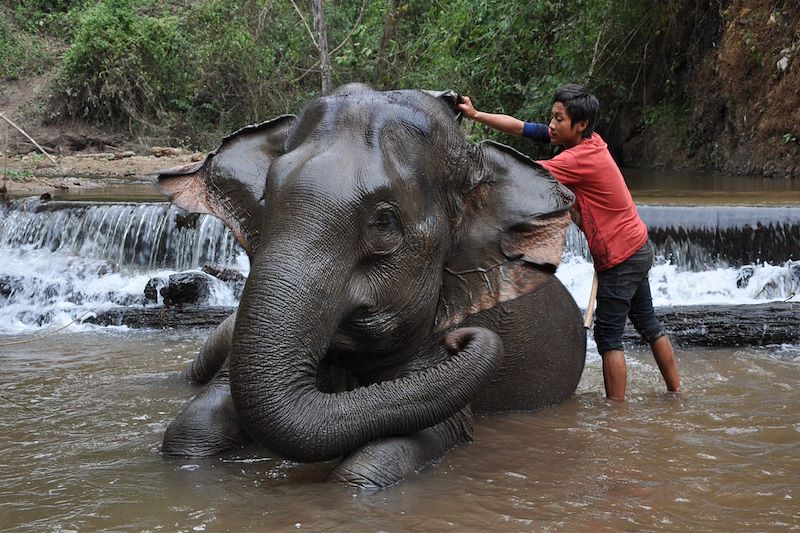 Voyage en petit groupe avec guide francophone pour découvrir les plaisirs culinaires de Thailande             