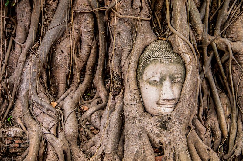 Circuit au nord Thaïlande et au sud : Bangkok, Ayutthaya à vélo, Chiang Mai, trek avec nuit chez l'habitant et plages de Koh Tao