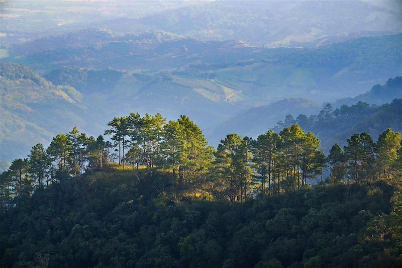 Voyager en Thaïlande avec des enfants: trek à Chiang Mai, kayak à Khao Sok et farniente à Koh Yao: nature, plage et sport au rdv !