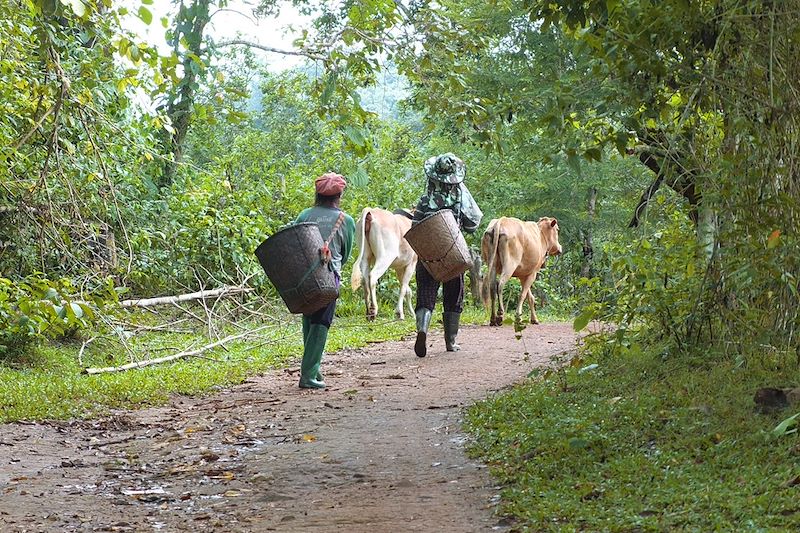 Grand tour du Triangle d'or entre Chiang Maï et Chiang Raï et extension balnéaire dans les îles du Sud sur Koh Libong