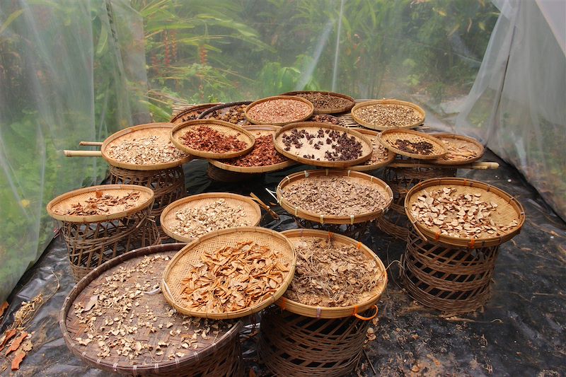 Cours de cuisine chez l'habitant - Chiang Mai - Thaïlande