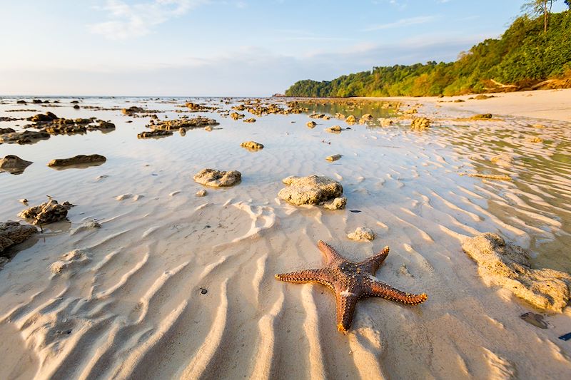 Balades et farniente sur les îles sauvages de Thaïlande : Koh Mook, Koh Kradan et Koh Libong après une visite guidée de Bangkok