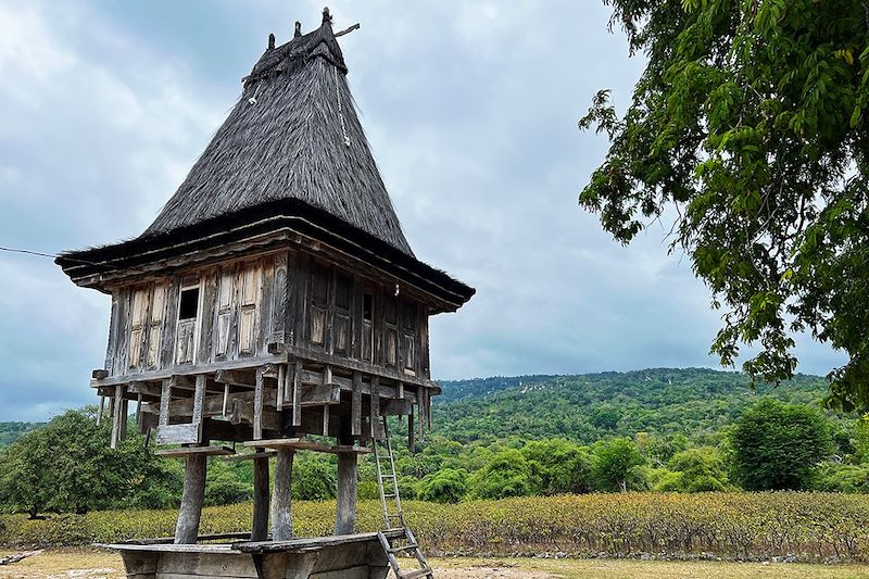 Immersion au Timor Oriental, de Dili à l'île de Jaco et en plongée et snorkeling sur l'île d'Atauro