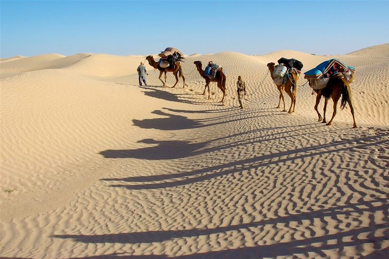 Caravanne dans le Grand Erg Oriental - Tunisie