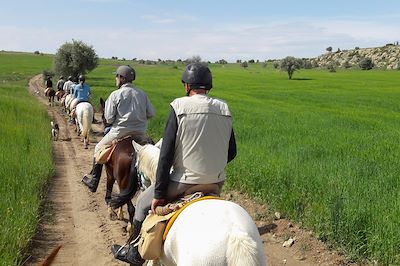 Voyage à cheval, randonnées à cheval avec Nomade Aventure