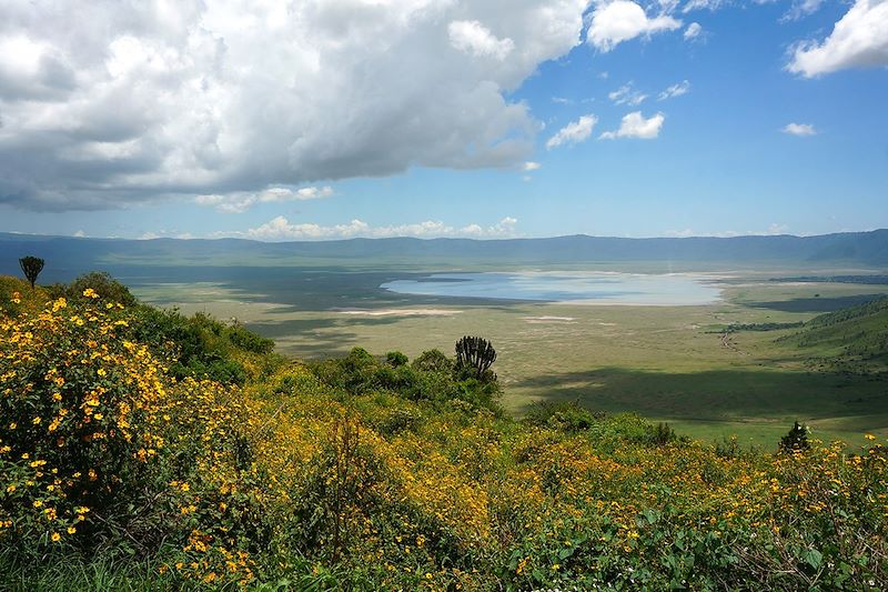 Cratère du Ngorongoro - Tanzanie