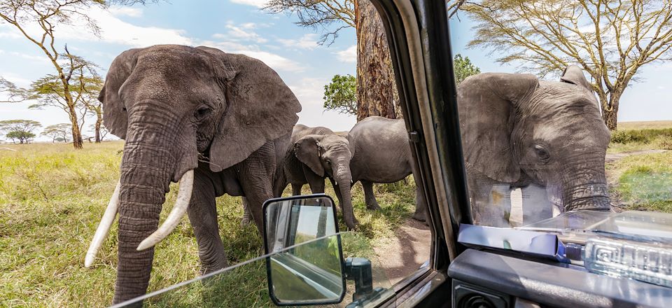 Safari privé en Tanzanie dédié aux personnes à mobilité réduite, du parc Serengeti au cratère Ngorongoro via le lac Manyara