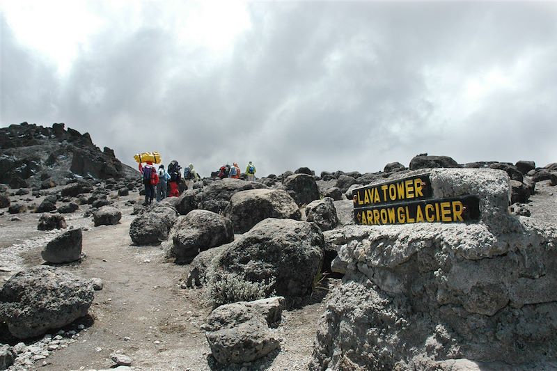 Trek du Kili par la voie Machame et Safari en Lodge dans les parcs de Tarangire, du lac Manyara et dans le cratère du N'Gorongoro 