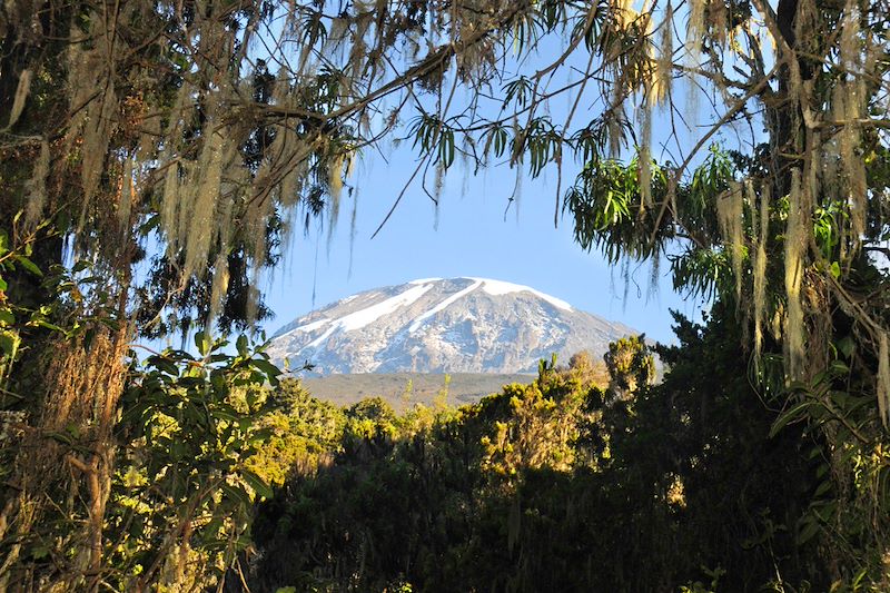 Trek du Kili par la voie Machame et Safari en Lodge dans les parcs de Tarangire, du lac Manyara et dans le cratère du N'Gorongoro 