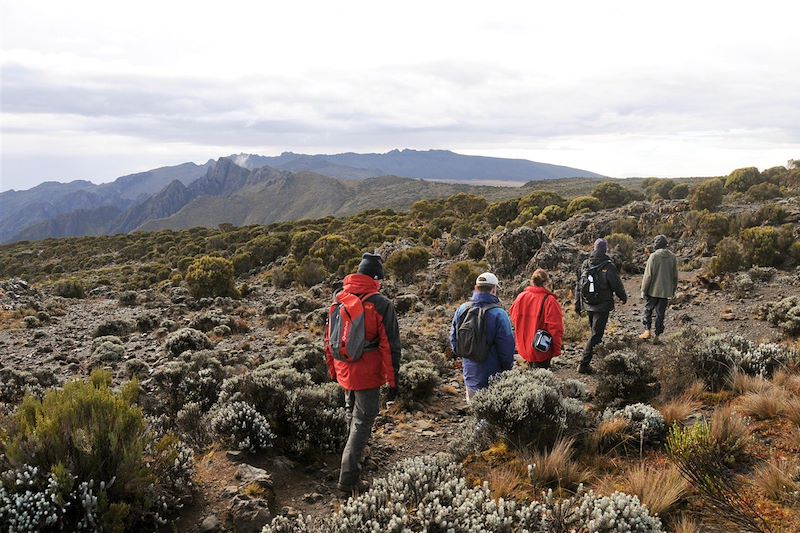 Trek du Kili par la voie Machame et Safari en Lodge dans les parcs de Tarangire, du lac Manyara et dans le cratère du N'Gorongoro 