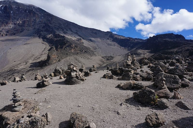 Trek du Kili par la voie Machame et Safari en Lodge dans les parcs de Tarangire, du lac Manyara et dans le cratère du N'Gorongoro 