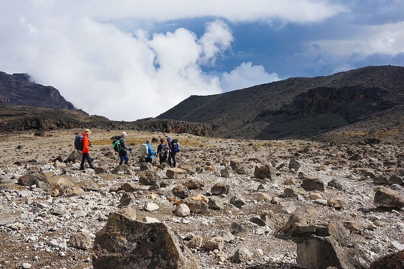 Trek entre Shira et Barranco Camp - Kilimandjaro - Tanzanie