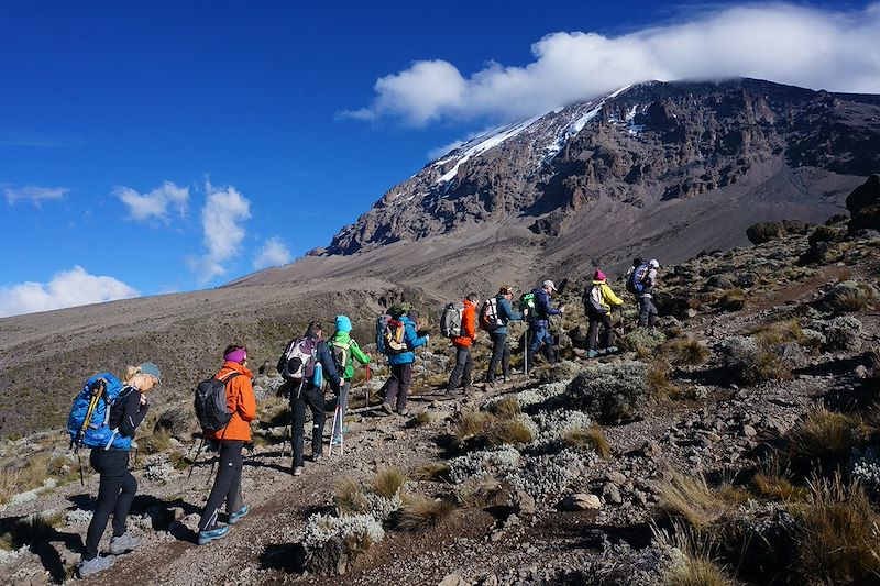 Ascenscion du Kili par la voie Machame, safari en lodge dans les parcs Tarangire, Manyara et N'Gorongoro et détente à Zanzibar ! 