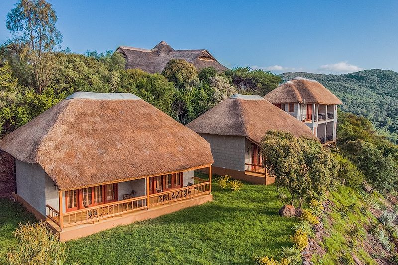 Ngorongoro Forest Tented Lodge - Arusha - Tanzanie 