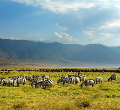 voyage Tanzanie