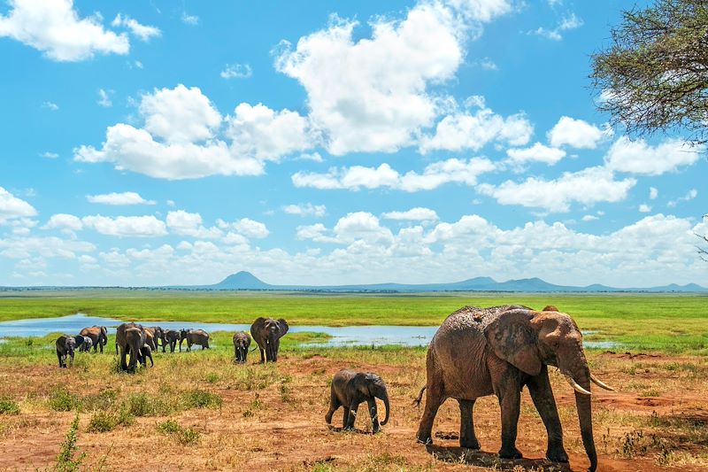 Ascenscion du Kili par la voie Machame, safari en lodge dans les parcs Tarangire, Manyara et N'Gorongoro et détente à Zanzibar ! 