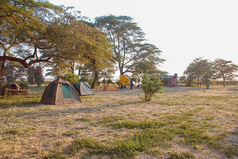 Découverte en 4x4 du cratère du N'Gorongoro, des mythiques parcs du Serengeti et de Tarangire et balade au lac Natron...