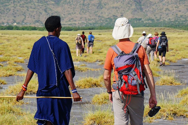 Découverte en 4x4 du cratère du N'Gorongoro, des mythiques parcs du Serengeti et de Tarangire et balade au lac Natron...