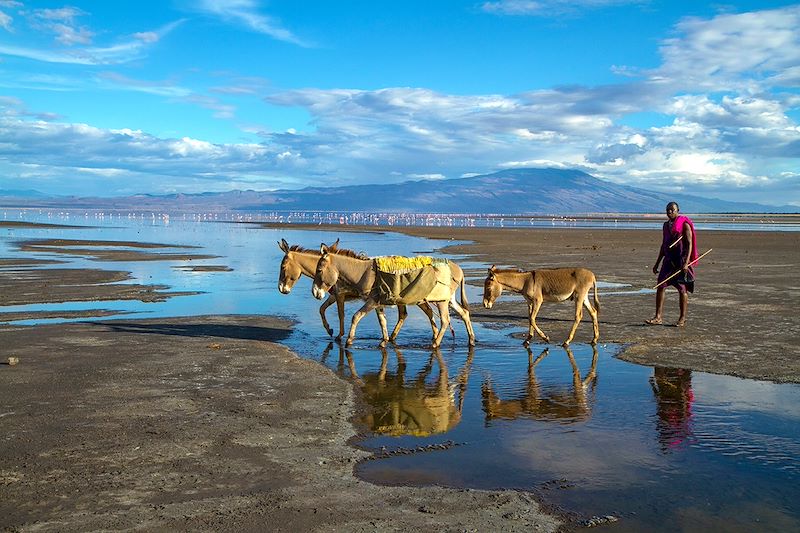 Découverte en 4x4 du cratère du N'Gorongoro, des mythiques parcs du Serengeti et de Tarangire et balade au lac Natron...