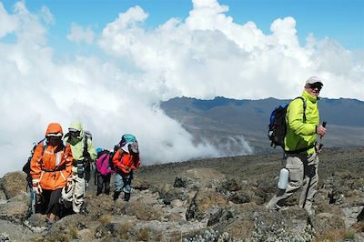 voyage Trek Kilimandjaro & Safari des Grands Parcs 
