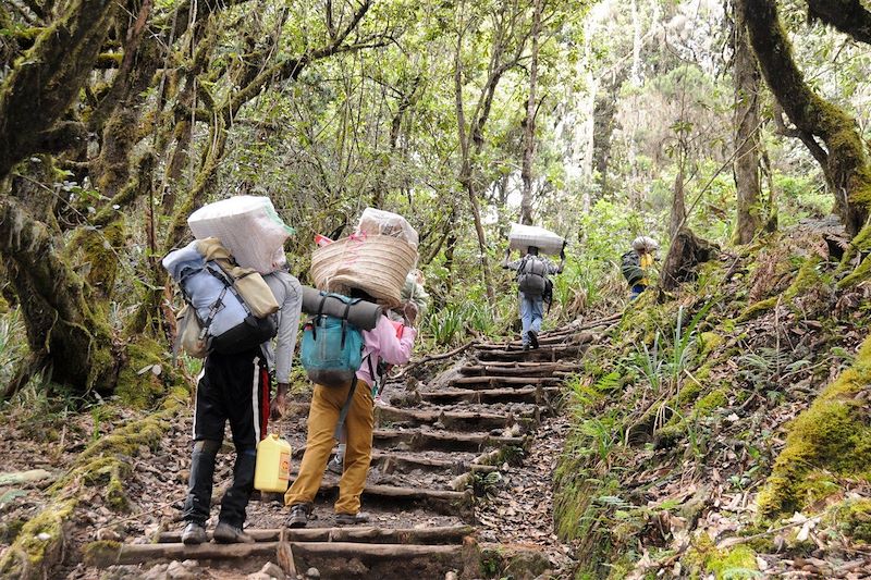 Trek Kilimandjaro & Safari des Grands Parcs 