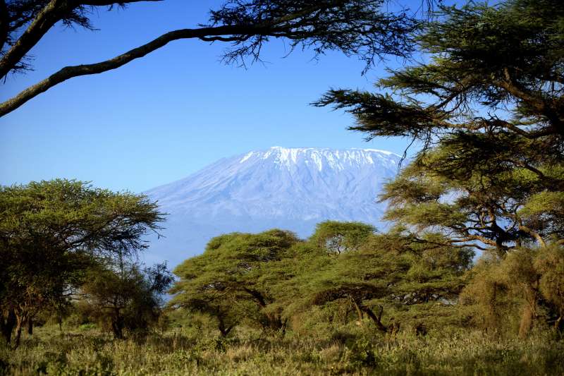 Rando Kilimandjaro, voie Machame 