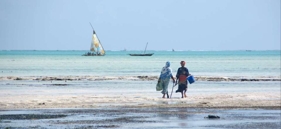 Découverte complète de Zanzibar du Nord au Sud...