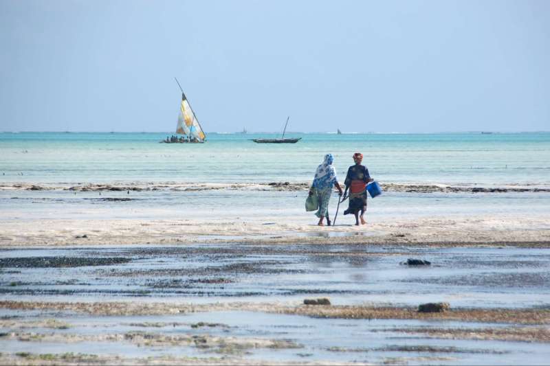 Zanzibar, l’île épicée !