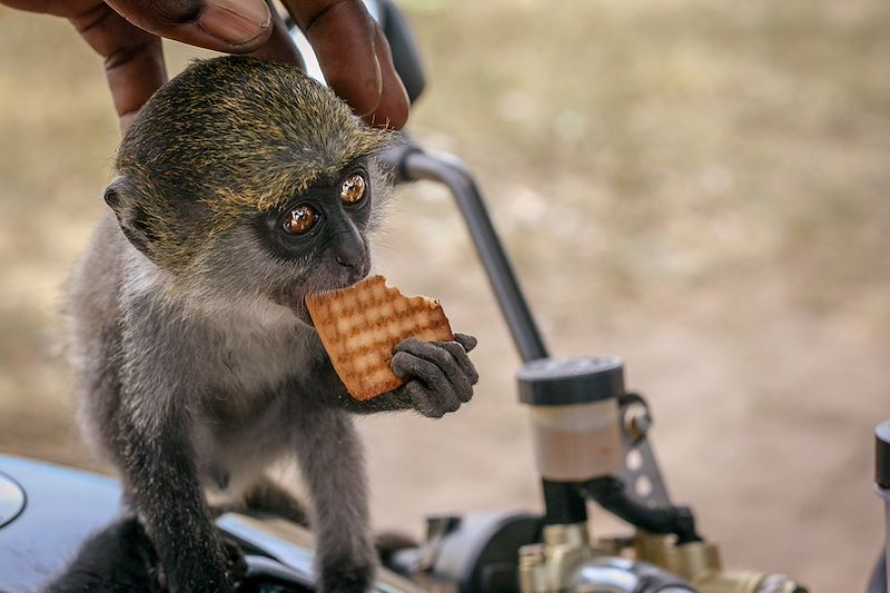 Découvrez Zanzibar en Vespa, de l'envoutante cité de Stone Town aux douces plages de Jambiani... une dolce vita africaine !