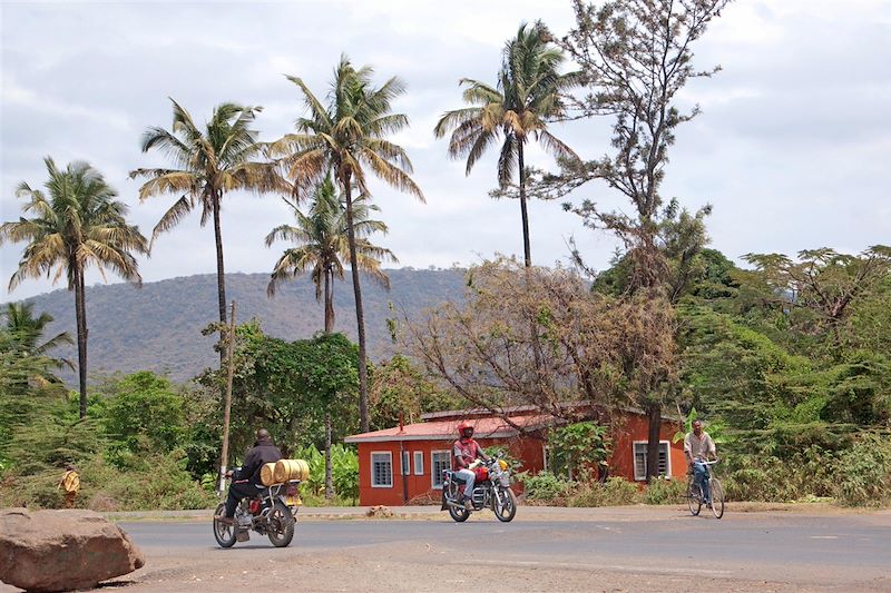 Safari dans les parcs Serengeti, N'Gorongoro et Tarangire, balades au Lac Natron et découverte de Zanzibar de StoneTown à Jambiani