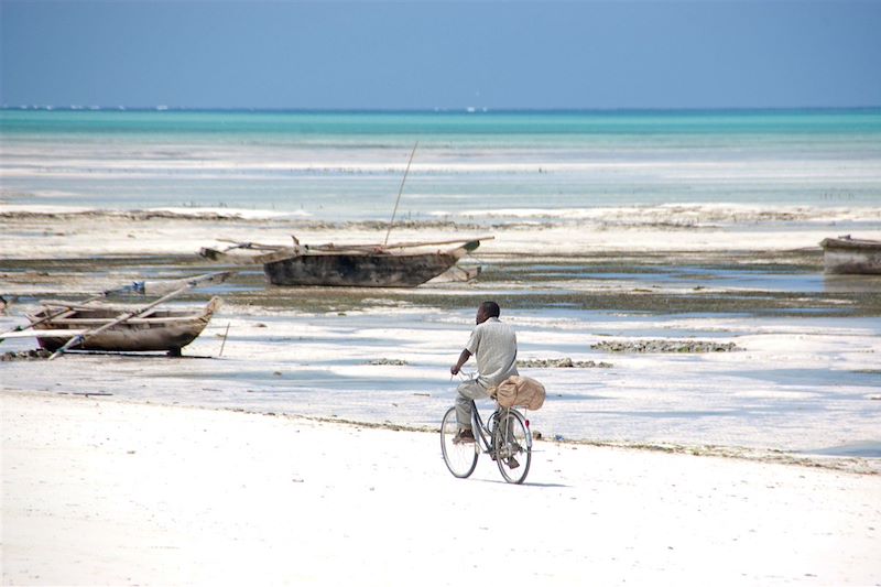 Safari dans les parcs Serengeti, N'Gorongoro et Tarangire, balades au Lac Natron et découverte de Zanzibar de StoneTown à Jambiani