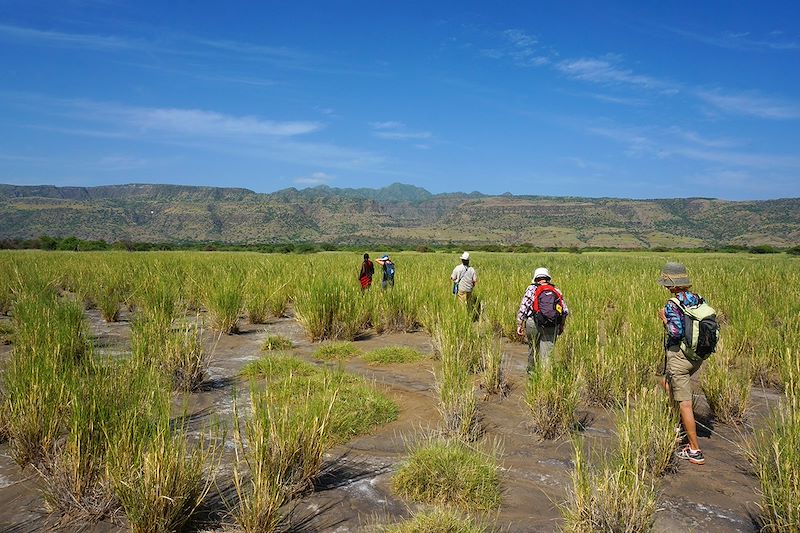 Safari dans les parcs Serengeti, N'Gorongoro et Tarangire, balades au Lac Natron et découverte de Zanzibar de StoneTown à Jambiani