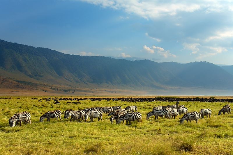 Safari dans les parcs Serengeti, N'Gorongoro et Tarangire, balades au Lac Natron et découverte de Zanzibar de StoneTown à Jambiani