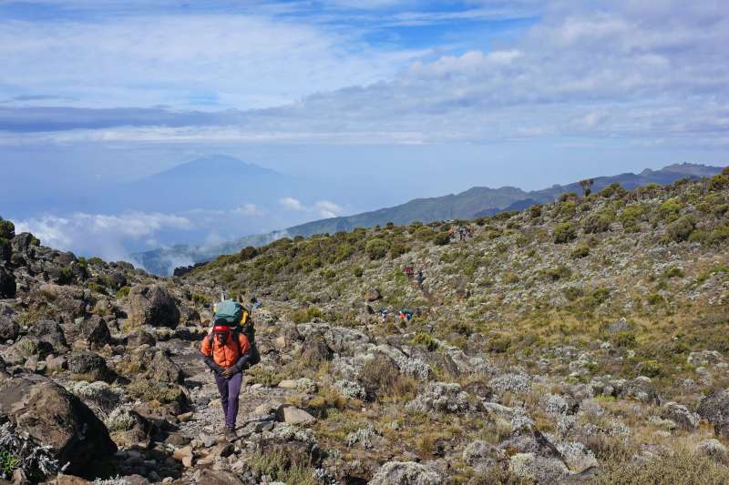 Trek sur le Kilimandjaro, Safari & Zanzibar
