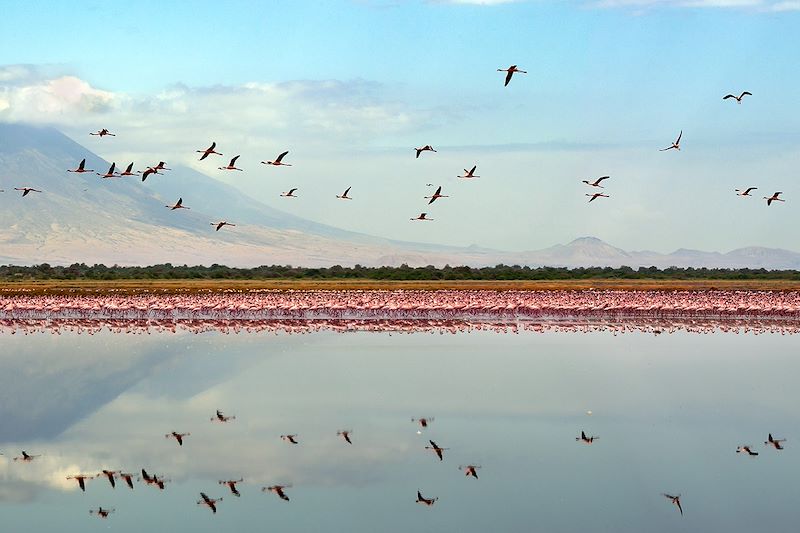 Safari confort dans les parcs du Serengeti, N'Gorongoro et Tarangire et balades au Lac Natron en camps de toile et lodges