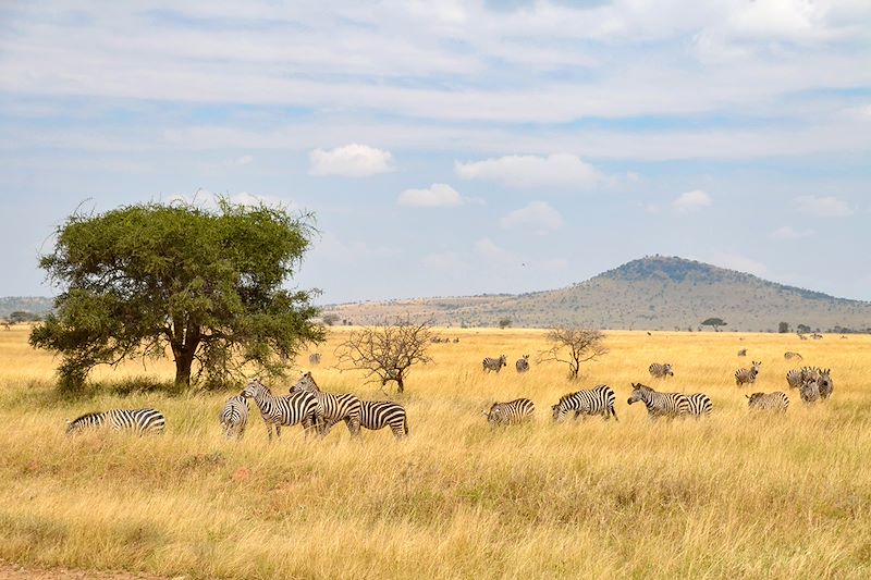 Safari confort dans les parcs du Serengeti, N'Gorongoro et Tarangire et balades au Lac Natron en camps de toile et lodges