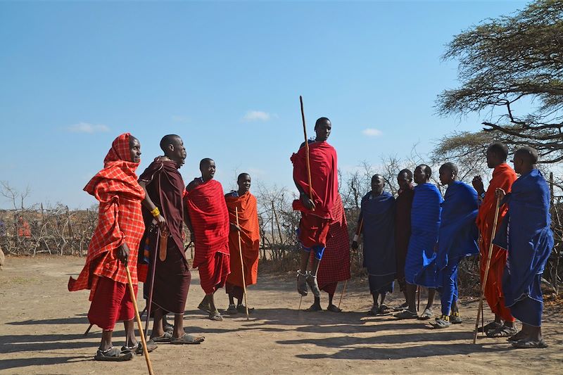 Safari en famille dans les plus beaux parcs de Tanzanie (Serengeti, NGorongoro, Tarangire), découvertes locales & nuits en lodges 